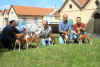 Gruppo Udine basenji