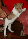 Hatari