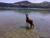 Lali al lago