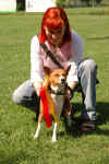 Coppia BASENJI 2006 - Patrizia & Tricky