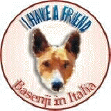 Basenji in Italia