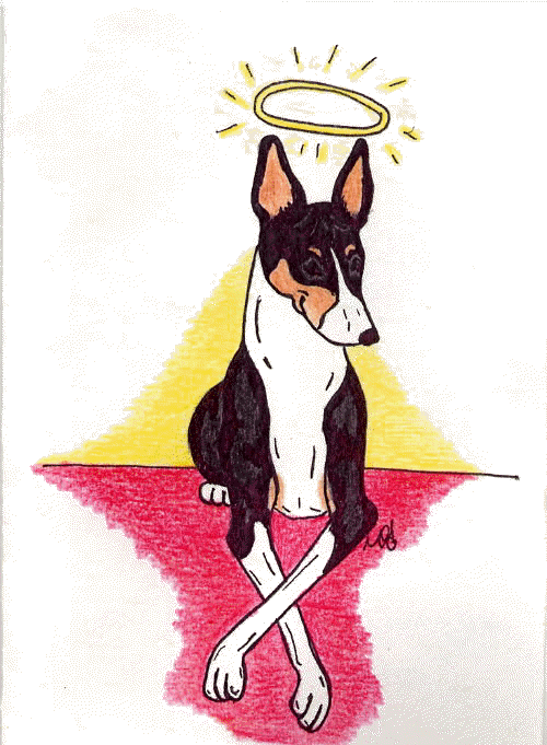 Basenji image from Marianne Felix (Olanda)