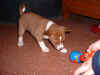 Giochiamo? - Play with me